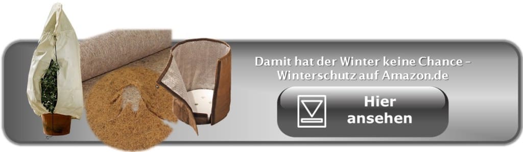 Winterschutz