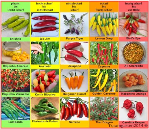 Chili Set 20 Sorten Samen Saatgut einzelnd verpackt von pikant bis extrem scharf aus aller Welt Peperoni